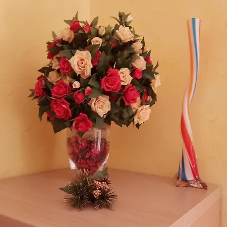 B&B Thousand Colors 4*