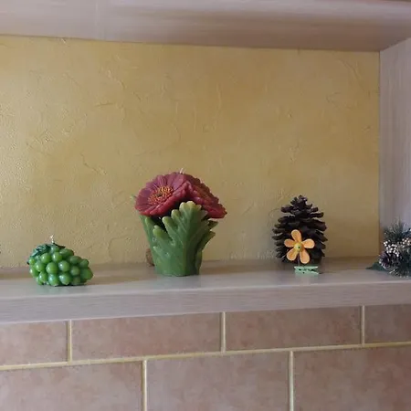 Thousand Colors 나폴리