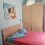 Thousand Colors Отель типа 